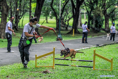 Training and Behavior Supplies